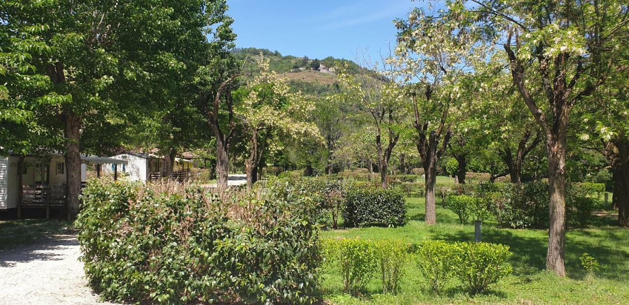 Camping Avec Piscine Et Riviere A Tournon Sur Rhone Ardeche Dış mekan fotoğraf